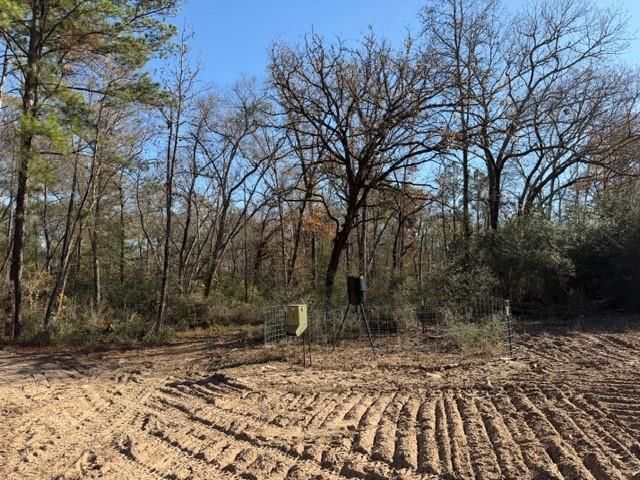 19 ac Pr 1429, Centerville, TX 75833