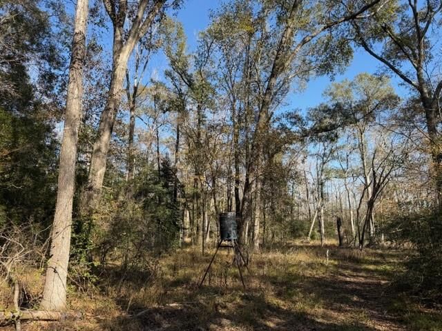 19 ac Pr 1429, Centerville, TX 75833