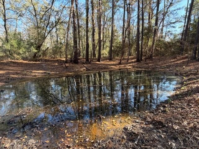 19 ac Pr 1429, Centerville, TX 75833