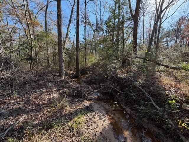 19 ac Pr 1429, Centerville, TX 75833