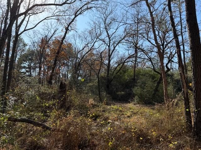 19 ac Pr 1429, Centerville, TX 75833