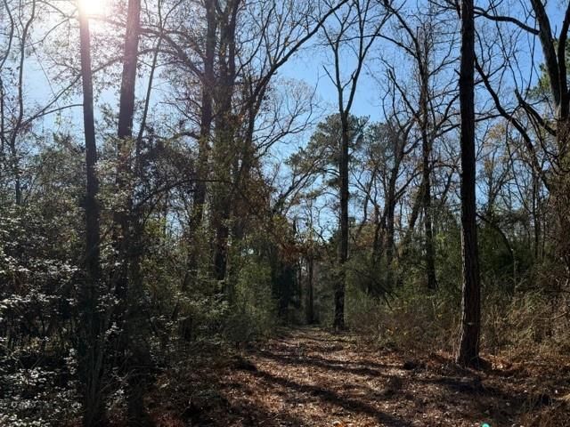 19 ac Pr 1429, Centerville, TX 75833