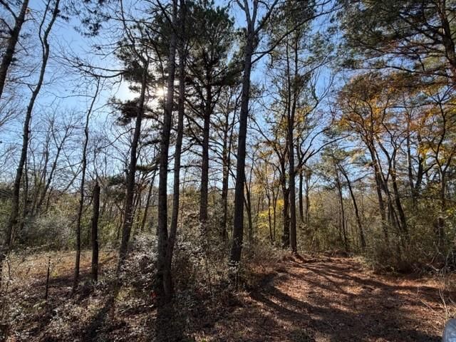 19 ac Pr 1429, Centerville, TX 75833