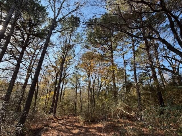 19 ac Pr 1429, Centerville, TX 75833