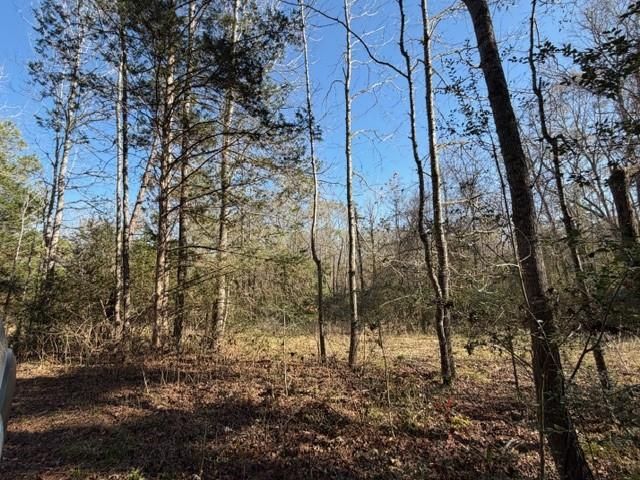 19 ac Pr 1429, Centerville, TX 75833