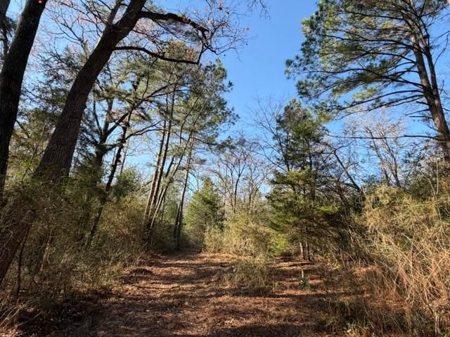 19 ac Pr 1429, Centerville, TX 75833