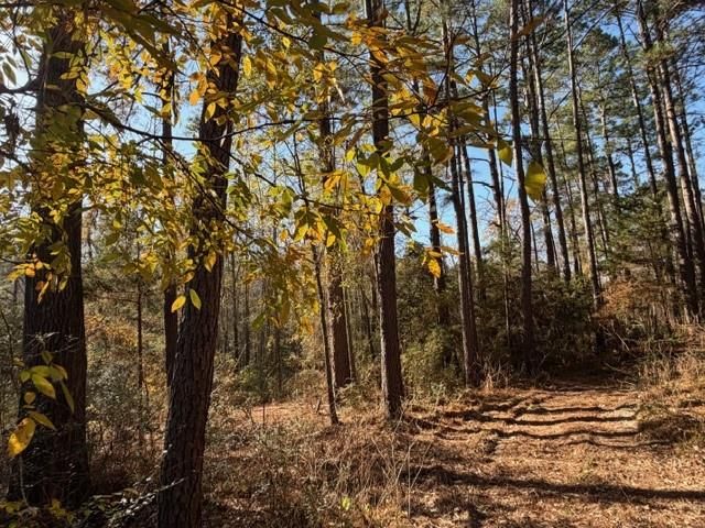 19 ac Pr 1429, Centerville, TX 75833