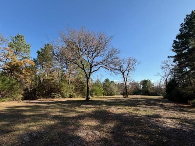 19 ac Pr 1429, Centerville, TX 75833