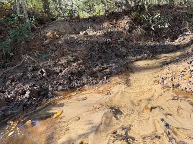 19 ac Pr 1429, Centerville, TX 75833