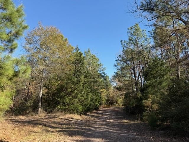 19 ac Pr 1429, Centerville, TX 75833