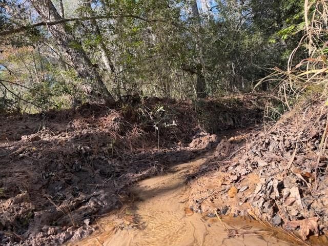 19 ac Pr 1429, Centerville, TX 75833