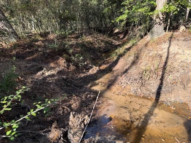 19 ac Pr 1429, Centerville, TX 75833