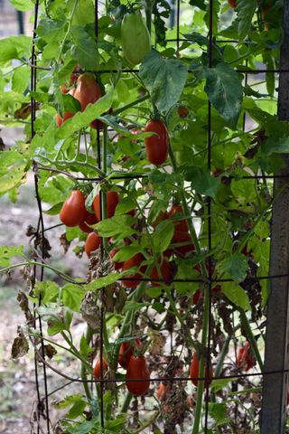 886 Glenraven Dr, Clarksville, TN 37043