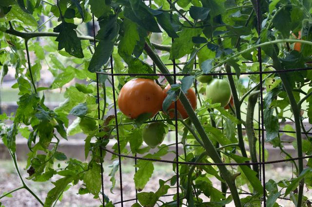 886 Glenraven Dr, Clarksville, TN 37043