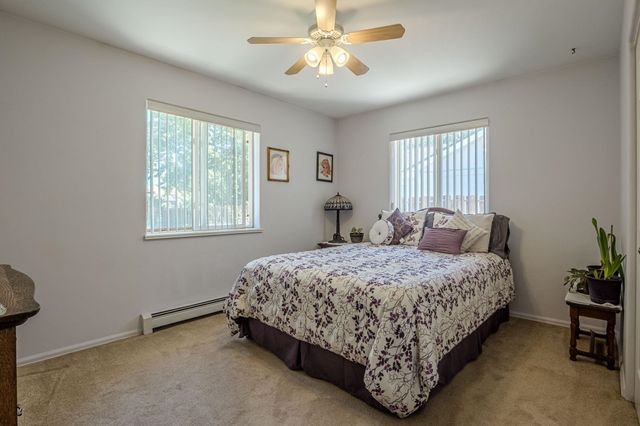 542 N Willow Street, Fruita, CO 81521