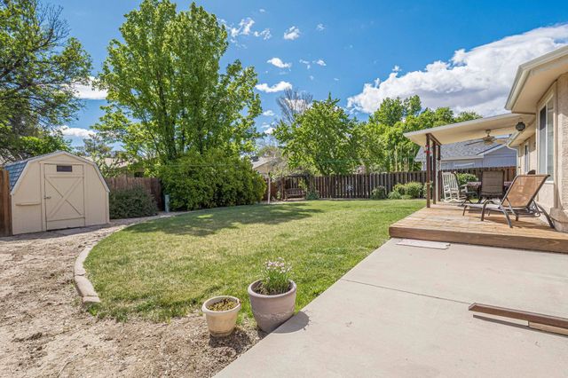 542 N Willow Street, Fruita, CO 81521