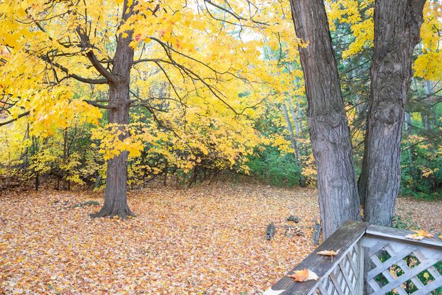 13 Alford Boulevard, Plattsburgh, NY 12901