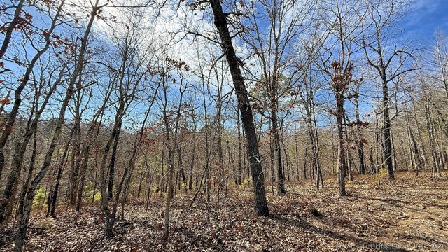 238 Fox Track Trail, Kansas, OK 74347