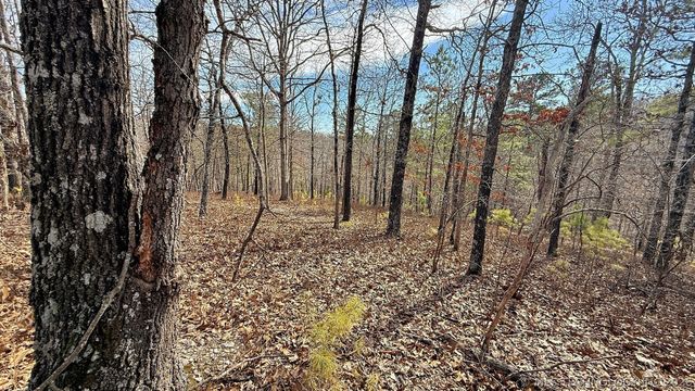 238 Fox Track Trail, Kansas, OK 74347