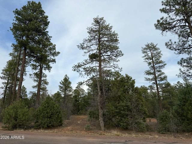 5961 E STARLIGHT RIDGE Road 10, Lakeside, AZ 85929