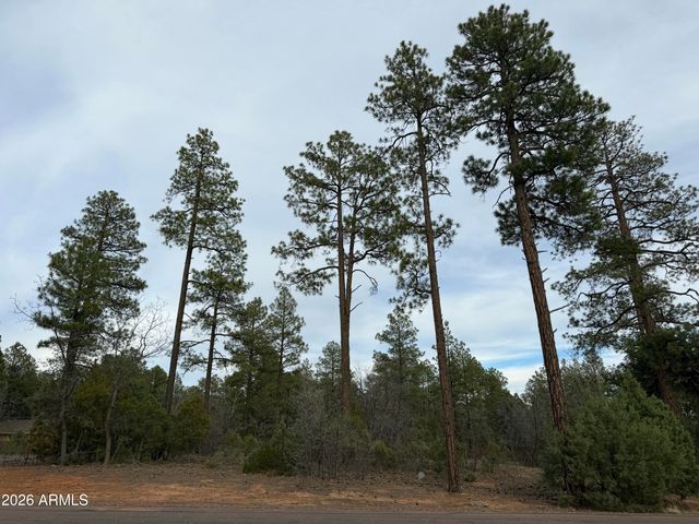 5961 E STARLIGHT RIDGE Road 10, Lakeside, AZ 85929