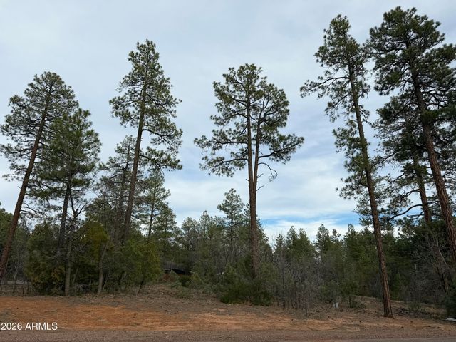 5961 E STARLIGHT RIDGE Road 10, Lakeside, AZ 85929