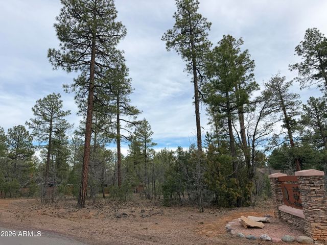 5961 E STARLIGHT RIDGE Road 10, Lakeside, AZ 85929