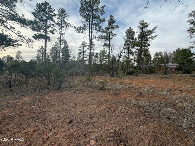 5961 E STARLIGHT RIDGE Road 10, Lakeside, AZ 85929