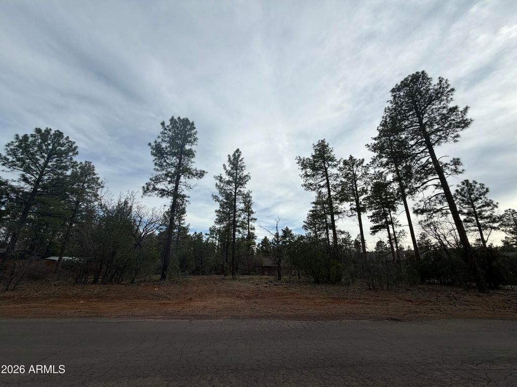 5961 E STARLIGHT RIDGE Road 10, Lakeside, AZ 85929