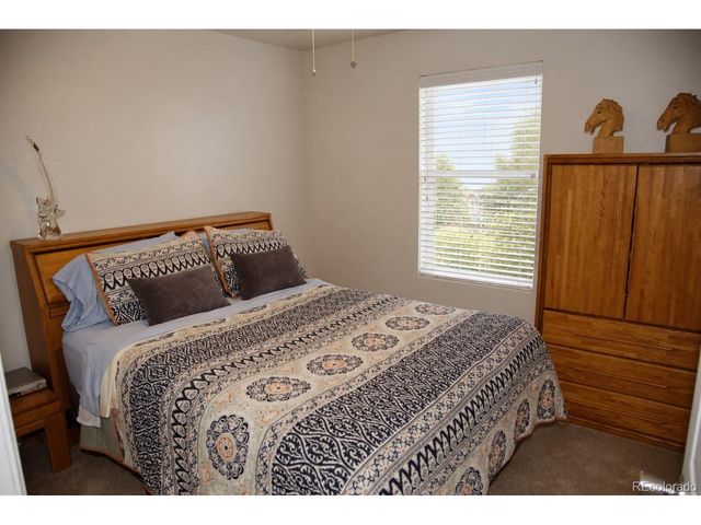 3497 Starry Night Loop, Castle Rock, CO 80109