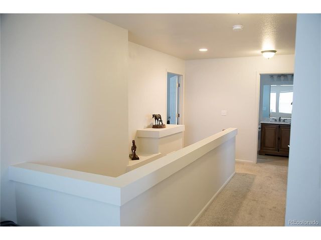3497 Starry Night Loop, Castle Rock, CO 80109