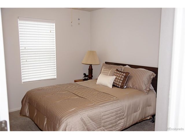3497 Starry Night Loop, Castle Rock, CO 80109