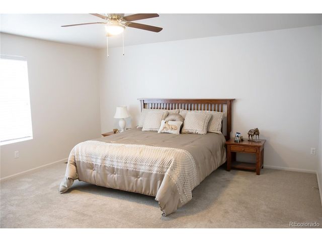 3497 Starry Night Loop, Castle Rock, CO 80109