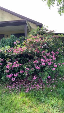 113 Covington Way, Richmond, KY 40475