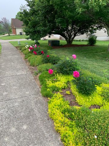 113 Covington Way, Richmond, KY 40475