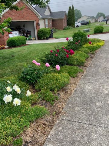 113 Covington Way, Richmond, KY 40475