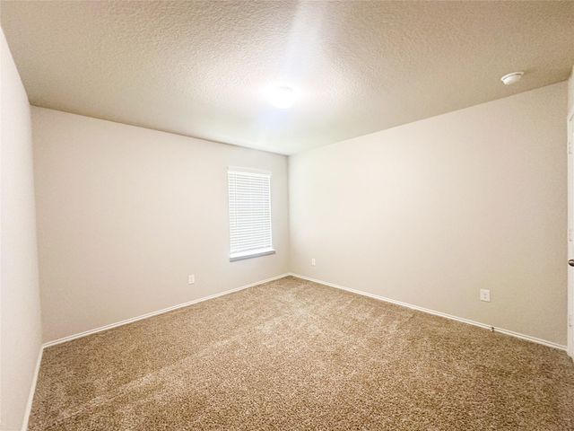1807 Brady Shores Drive, Richmond, TX 77469