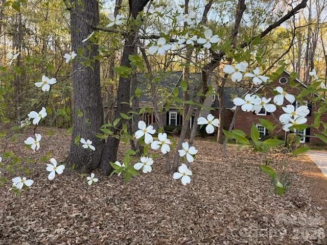 1712 Saddlewood Drive, Fort Mill, SC 29715