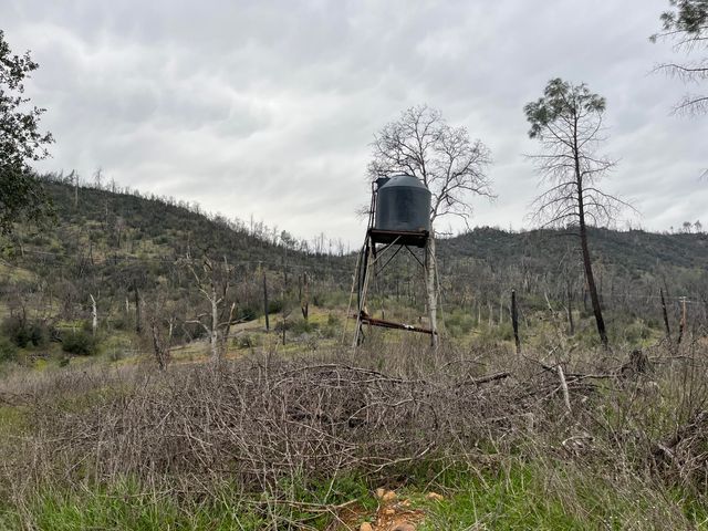 14378 Christian Way, Redding, CA 96003