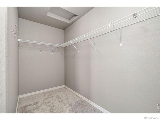 1456 Moraine Valley Drive, Severance, CO 80550
