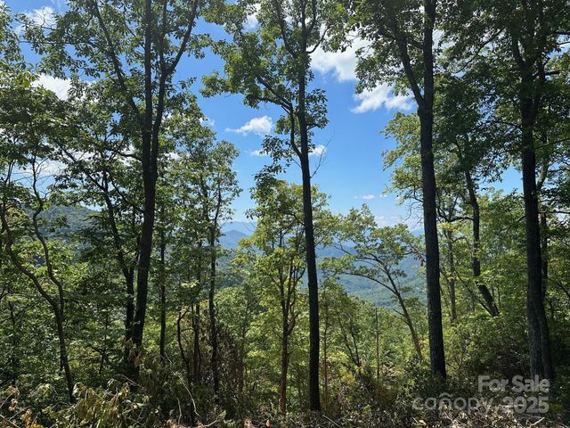 00 Falls View Drive 70, Bryson City, NC 28713