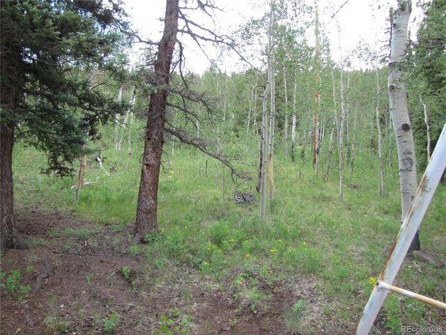 545 Depot Drive, Hartsel, CO 80449