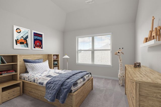 9916 Bitterroot Drive, Little Elm, TX 75068