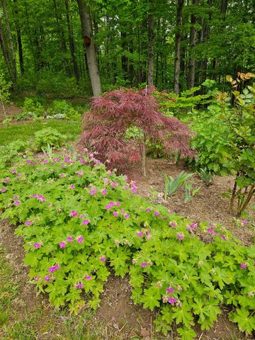 425 Pleasant Street, Rollinsford, NH 03869