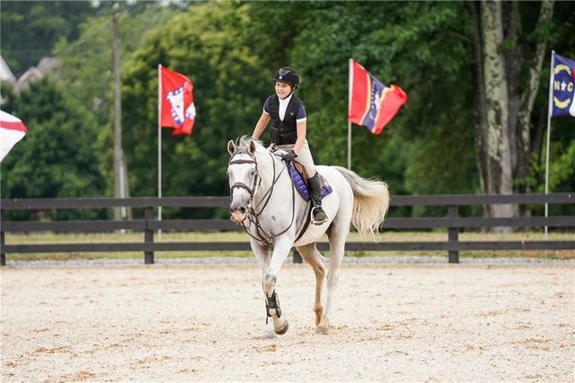 531 S Main Street 210, Alpharetta, GA 30009