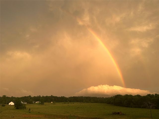 1000 Denson Allen, Coldspring, TX 77331