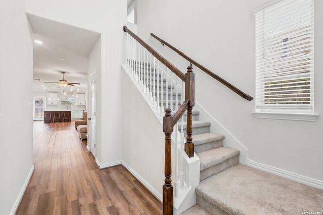 2046 Flametree Ave, New Braunfels, TX 78132