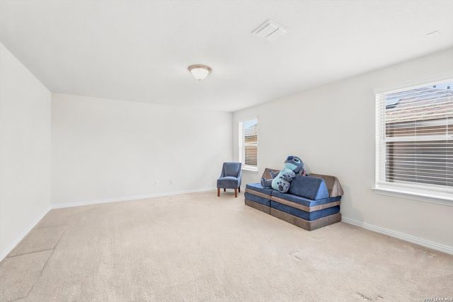 2046 Flametree Ave, New Braunfels, TX 78132