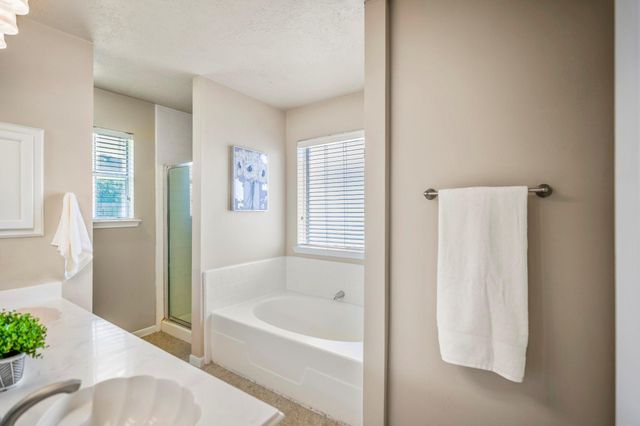 16207 Indian Cypress Drive, Cypress, TX 77429