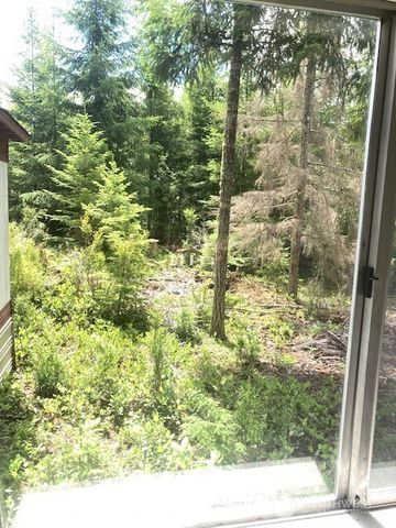 50 N Quinault Place, Hoodsport, WA 98548